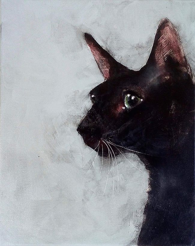 Heidi  Wickham - Black cat I